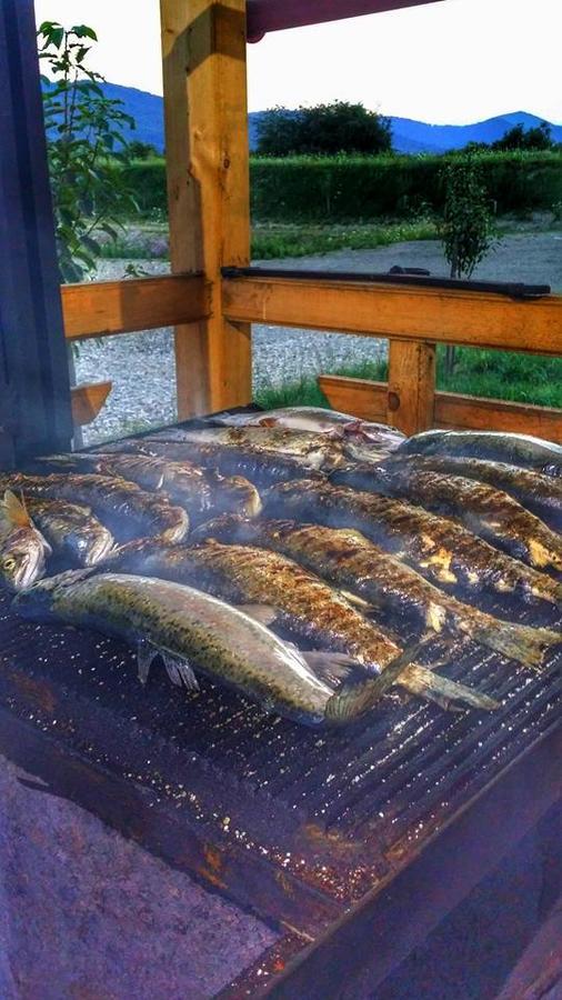 Pastravaria Ursu Vînători-Neamţ Exteriör bild